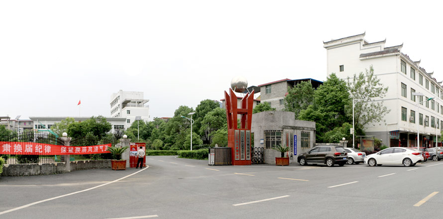 工業發電站太陽能案例